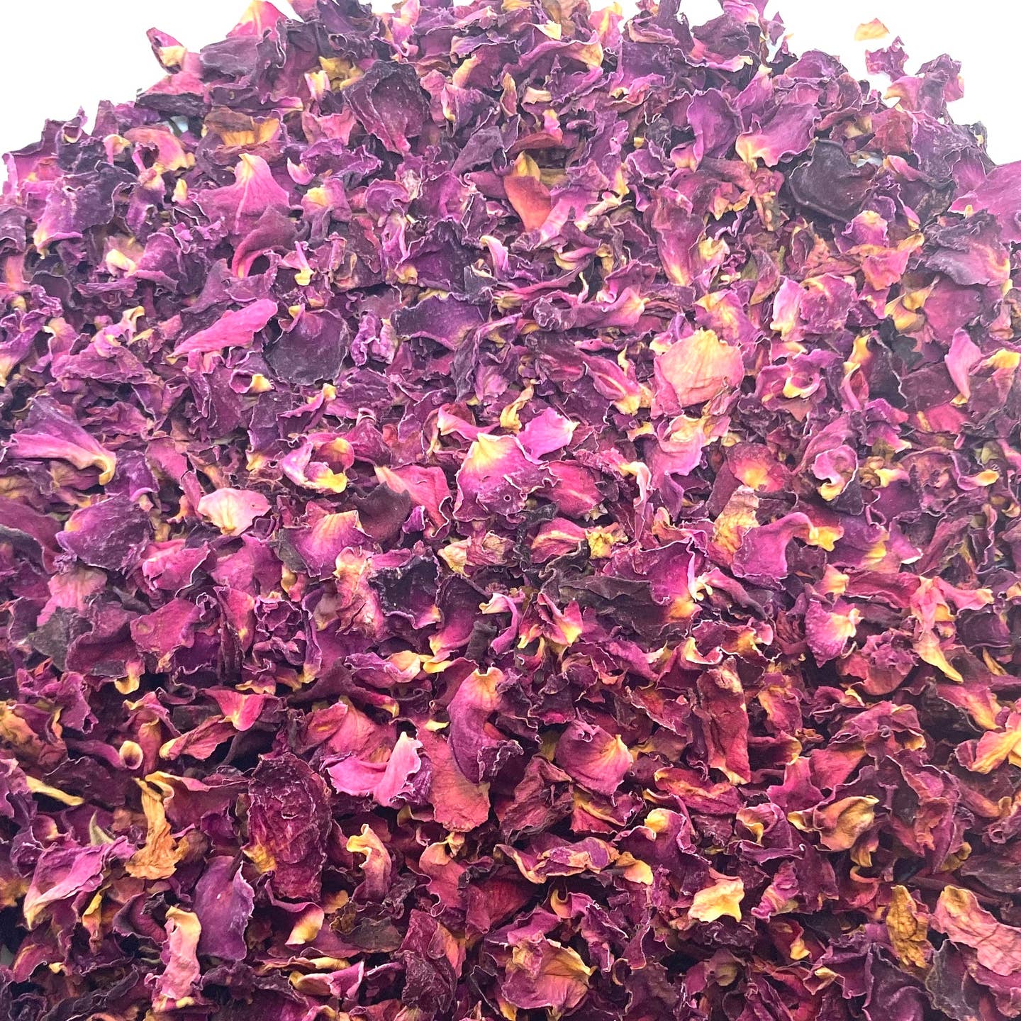 Dried Rose